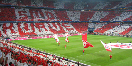 Shop Arena One